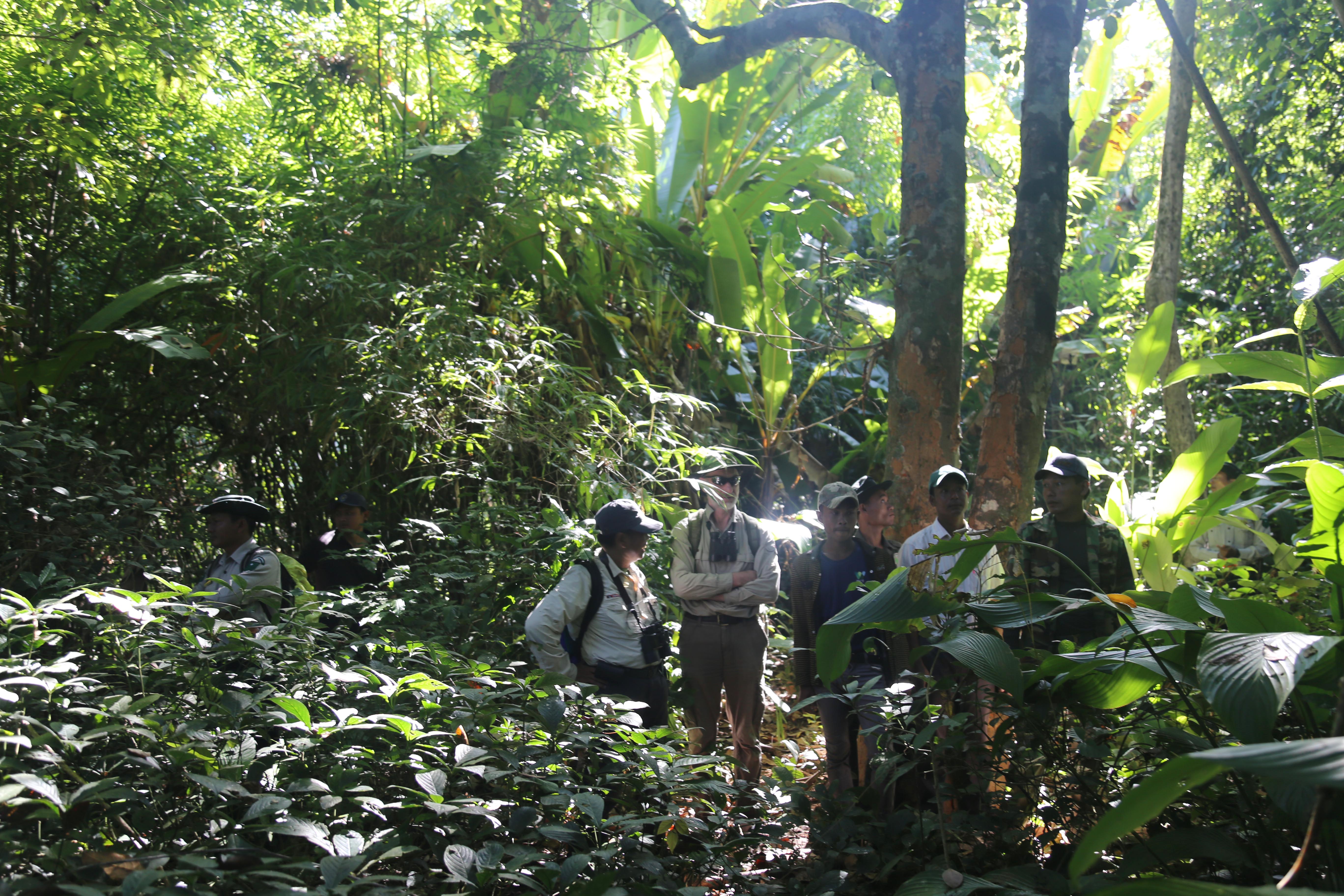 WCS training and review at Rakhine Yoma Elephant Reserve RYER